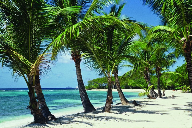 Experience Mustique: The Paradise of Fun and Relaxation
