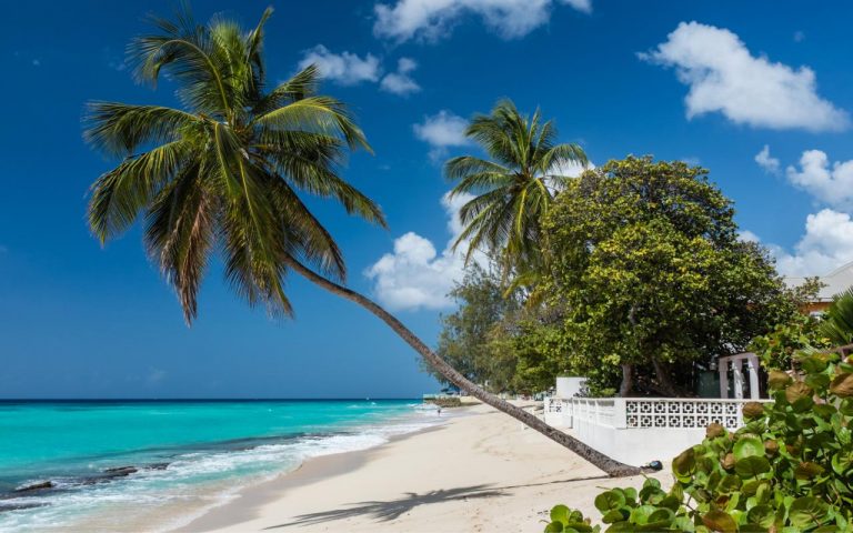 Spotlight on Barbados