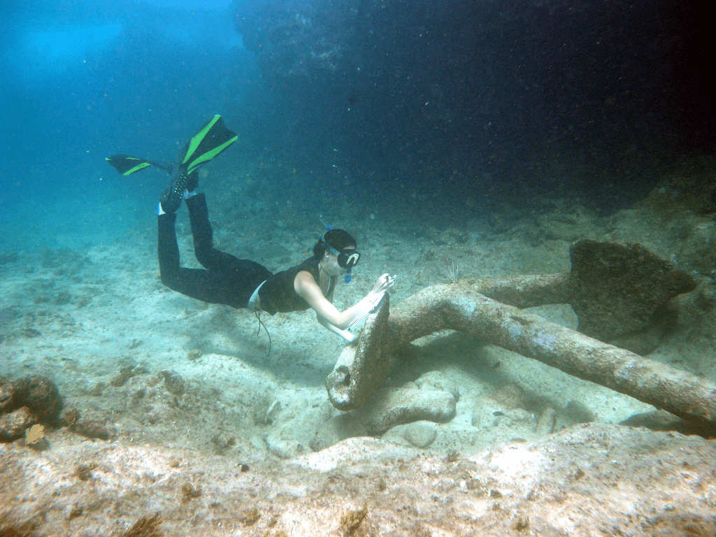 Flights From Punta Cana