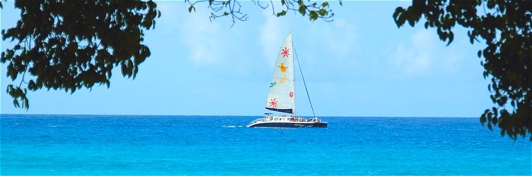 Charter Flights to New York