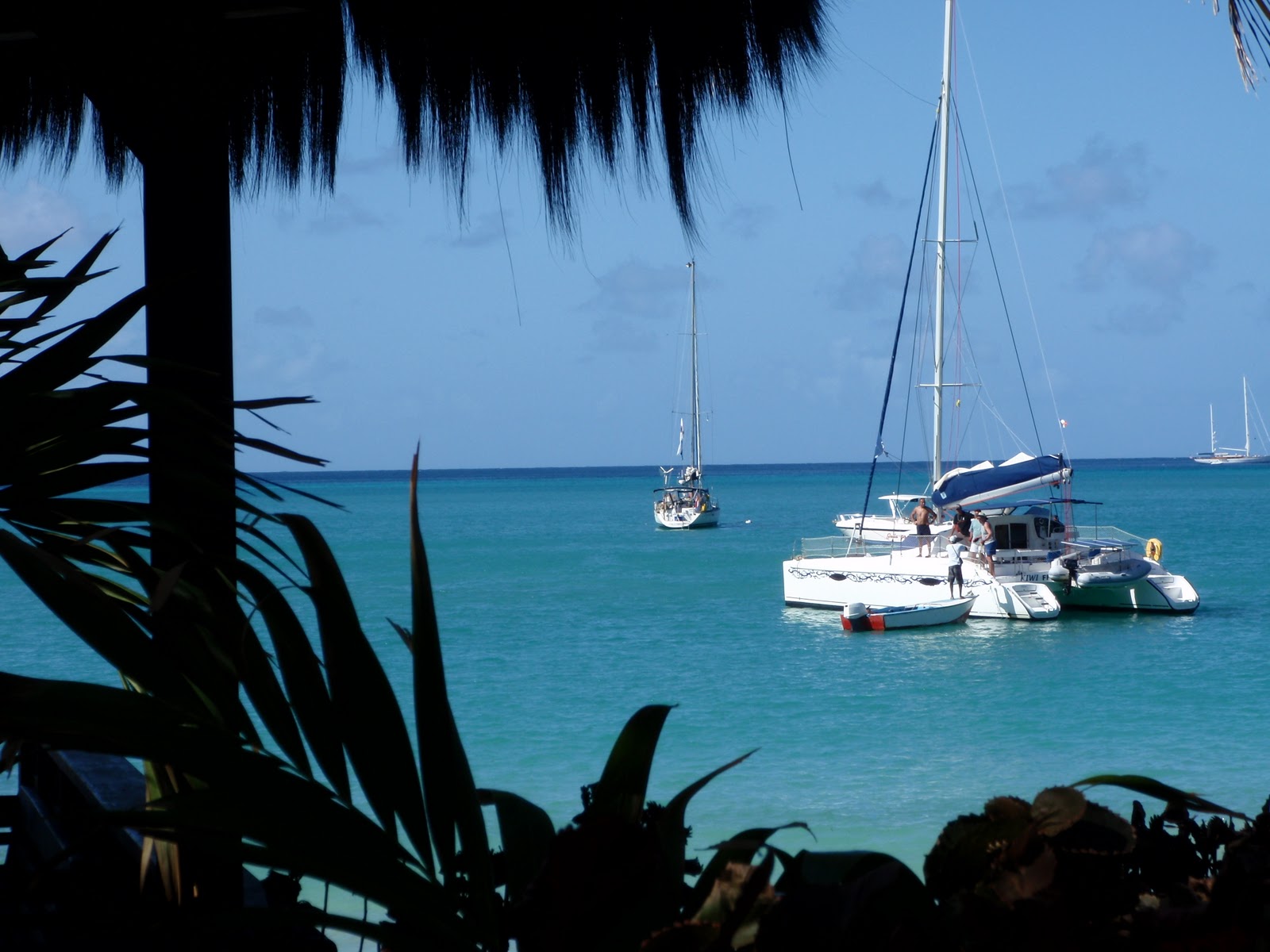 Experience Mustique: The Paradise of Fun and Relaxation