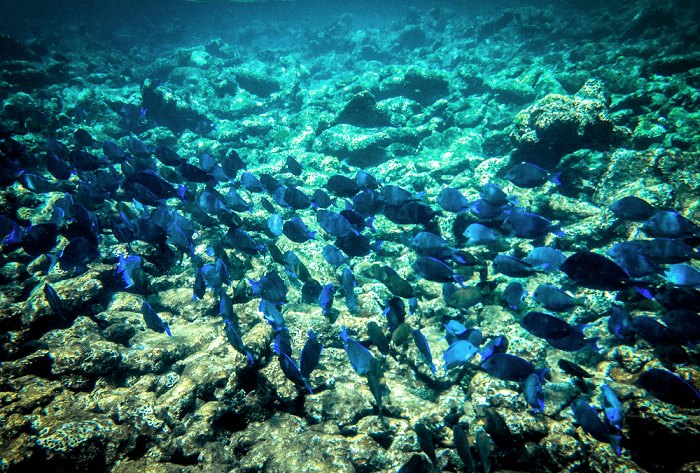 Charter Flights to Grenada