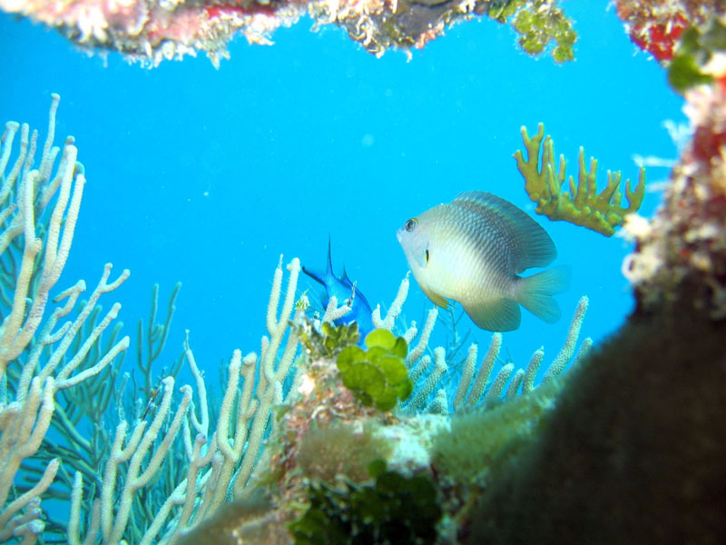 Charter Flights to New York