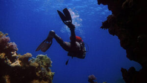 Activities in Andros: Exploring the Wonders of the Island